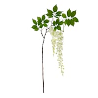 Willow Crossley White Pea Blossom Branch, 54"