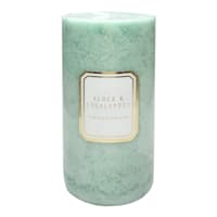 Providence Alder & Eucalyptus Scented Pillar Candle, 3x6