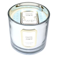 Providence Coastal Jasmine Scented Jar Candle, 13.4oz