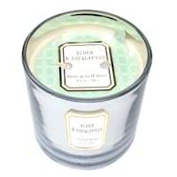 Providence Alder & Eucalyptus Scented Jar Candle, 13.4oz