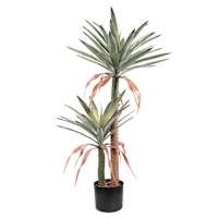 Sisal Tree in Black Pot, 43"