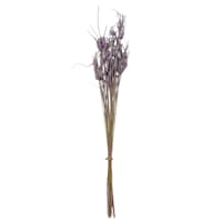 Lavender Star Grass Bundle, 30"