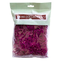 Cranberry Red Spanish Moss, Small