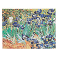 Irises Canvas Wall Art, 36x27