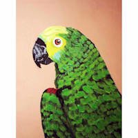 Parrot Canvas Wall Art, 12x16