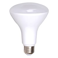 Recessed 10W Dimmer Bulb, 2-Pack