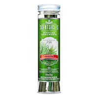 Scentsicles 6-Count White Winter Fir Scented Ornament Sticks