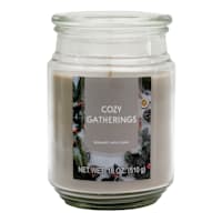 Deals on Mulled Wine Scented Jar Candle 18oz