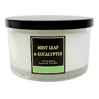 Mint Leaf & Eucalyptus Scented Jar Candle, 15.9oz