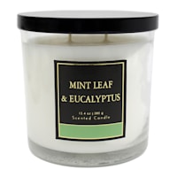 Mint Leaf & Eucalyptus Scented Jar Candle, 13.4oz