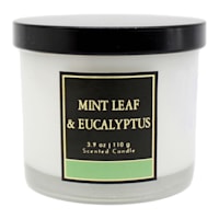 Mint Leaf & Eucalyptus Scented Jar Candle, 3.9oz