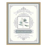 Framed Eucalyptus Wall Decor, 12x15