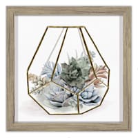 Glass Framed Succulent Print Wall Art, 10"