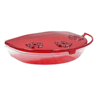 Window Mount Hummingbird Bird Feeder, 16oz