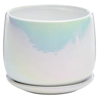 Indoor Iridescent Pot with Saucer, Small