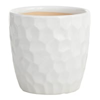 Crosby St. Elena White Indoor Ceramic Pot, Small