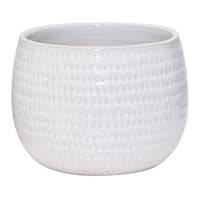 Found & Fable Indoor White Glazed Bennett Pot, 5.9"