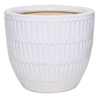 Found & Fable Indoor White Glazed Ceramic Nico Pot, 8.7"