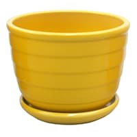 Indoor Yellow Beehive Ceramic Pot, Small