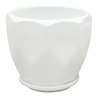 Indoor Hexa White Ceramic Planter, Small