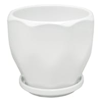 Indoor Hexa White Ceramic Pot, Small