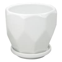 Indoor Hexa White Ceramic Pot, Extra Small
