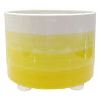 Sunny Club Indoor Yellow Ombre Ceramic Pot, Medium