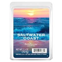 Saltwater Coast Scented Wax Melts, 2.5oz
