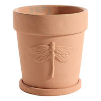 Honeybloom Indoor Terracotta Dragonfly Pot, Small