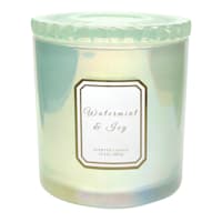 Providence Watermint & Ivy Scented Jar Candle, 13.4oz