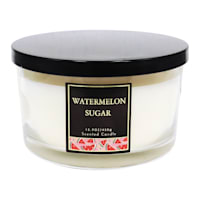 Watermelon Sugar Scented Jar Candle, 15.9oz