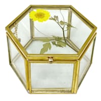Honeybloom Wildflowers Glass Box