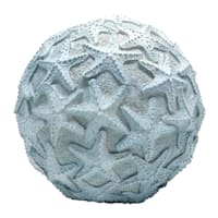 Ty Pennington Starfish Ball Outdoor Garden Decor, 10"