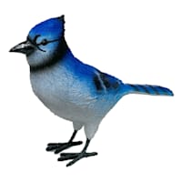 Blue Jay Outdoor Garden Statue, 5.5"