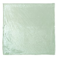 Honeybloom Solid Green Micro Plush Throw Blanket, 50x60