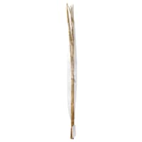 Found & Fable 5-Piece Natural Nanal Stick Bunch