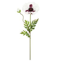 Willow Crossley White & Purple Poppy Floral Stem, 28.5"