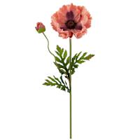 Willow Crossley Pink Poppy Floral Stem, 28.5"