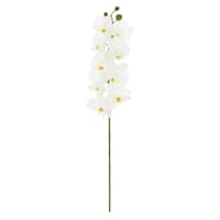 White Orchid Stem, 29.5"