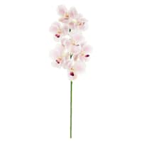 Light Pink Moth Orchid Floral Stem, 31"