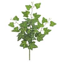 Green Ivy Pick, 12"