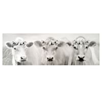 Flower Crown Cows Canvas Wall Art, 36x12
