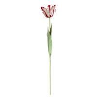 Willow Crossley Red Soft Tulip Floral Pick, 27"