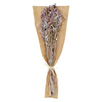 Dried Status Bundle, 23"