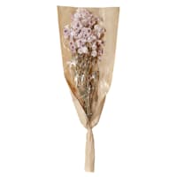 Willow Crossley Pink Daisy Bundle, 19.5"