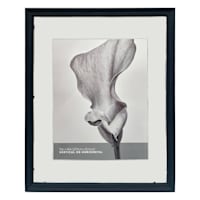 Black Ornate Floating Wall Frame, 16x20