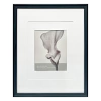 16x20 Black Ornate Matted to 8x10 Wall Frame