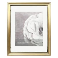 Gold Ornate Floating Wall Frame, 11x14
