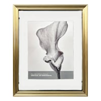 Gold Ornate Floating Wall Frame, 16x20