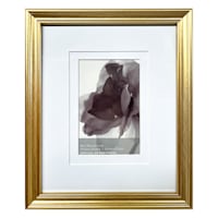 8x10 Gold Ornate Matted 4x6 Wall Frame